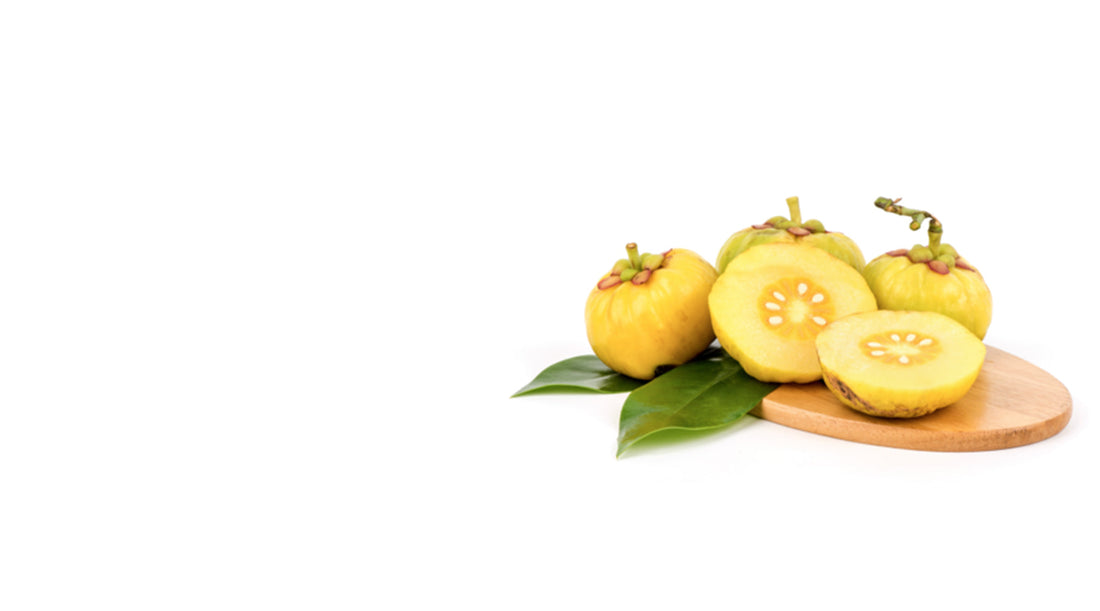 Garcinia Cambogia