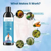 BBETTER Ortho Tejas - Ayurvedic Oil for Knee & Joint Pain Management