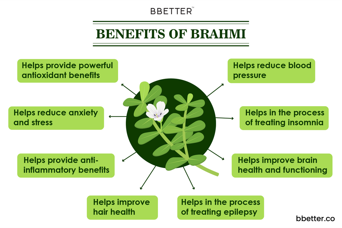 benefits of brahmi