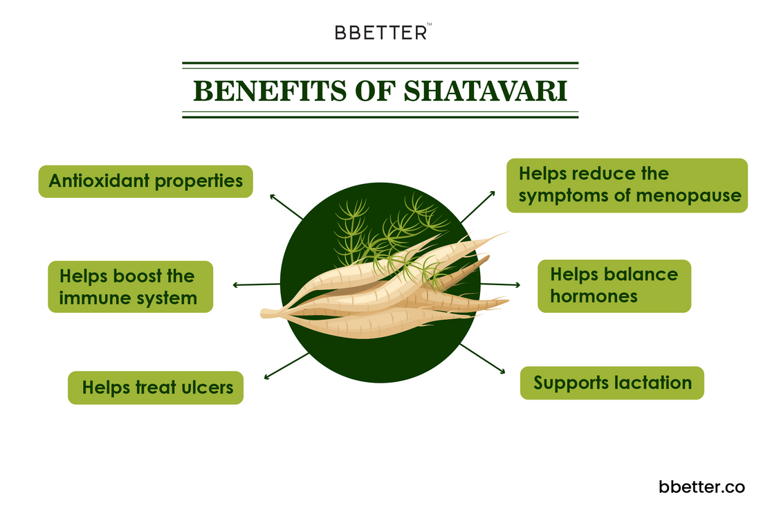 Ayurvedic herb Shatavari benefits & usage