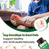BBETTER UricUrja - With Clinically Proven Ayuric for Gout Pain Relief & Uric Acid Management